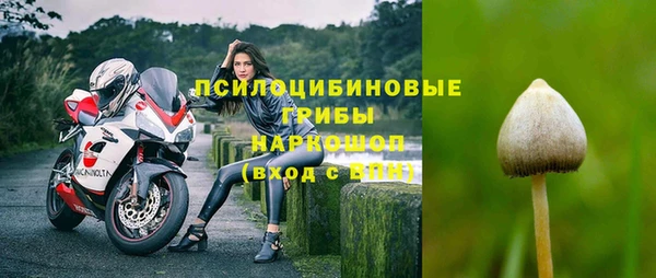 прущая мука Абаза