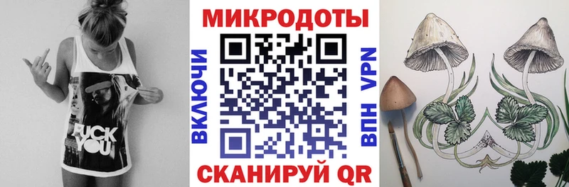 Псилоцибиновые грибы Psilocybine cubensis Александров