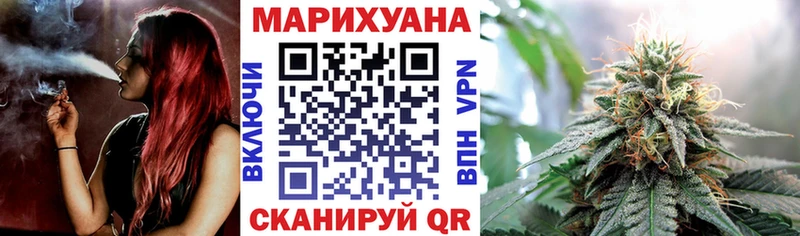 Конопля марихуана Александров